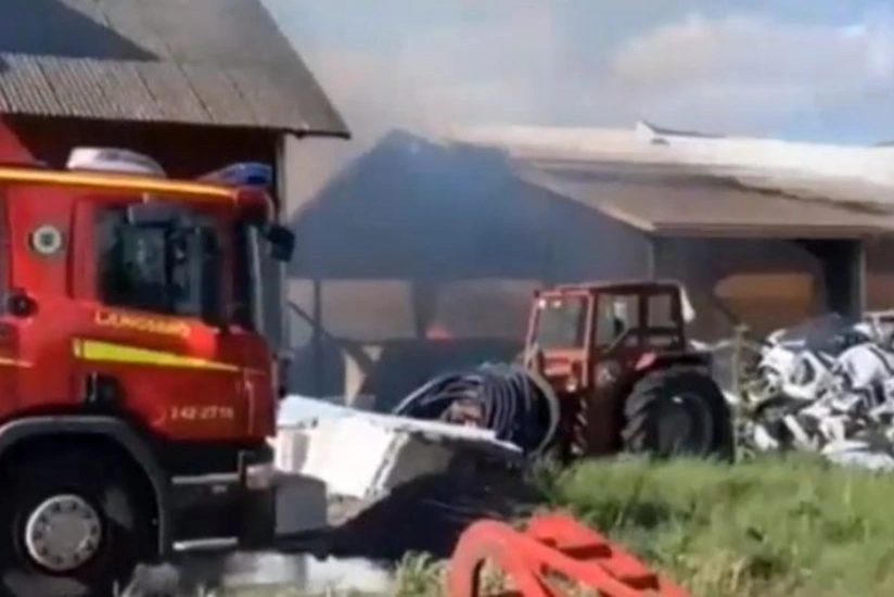 İsveçdə yanğın nəticəsində 100 min ev quşu tələf olub - VİDEO