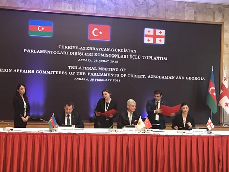 Foreign Affairs Committees of Turkey-Azerbaijan-Georgia Parliaments hold trilateral meeting
