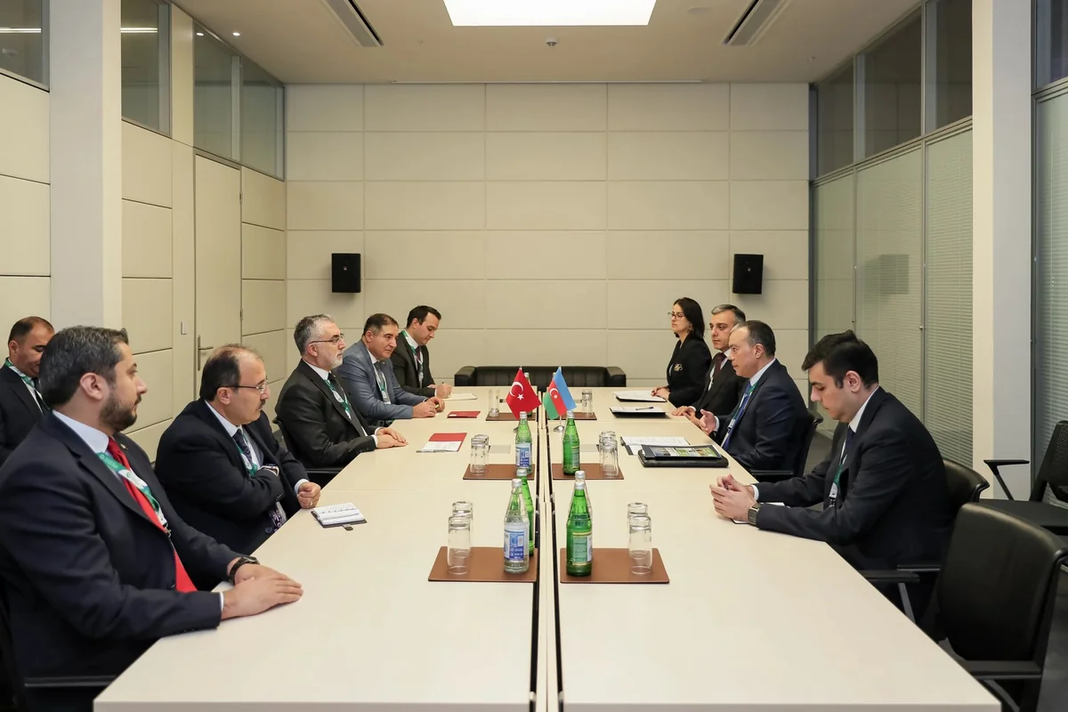 Azərbaycan və Türkiyə əmək və sosial müdafiə sahəsində əməkdaşlığı müzakirə edib
