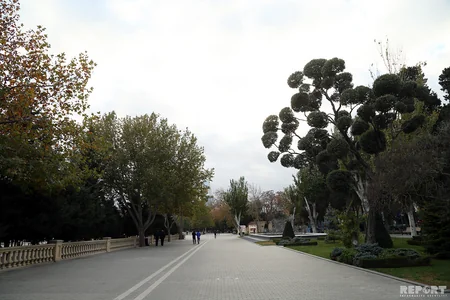 Ucuz çayxanalar da var... - BULVARDAN REPORTAJ