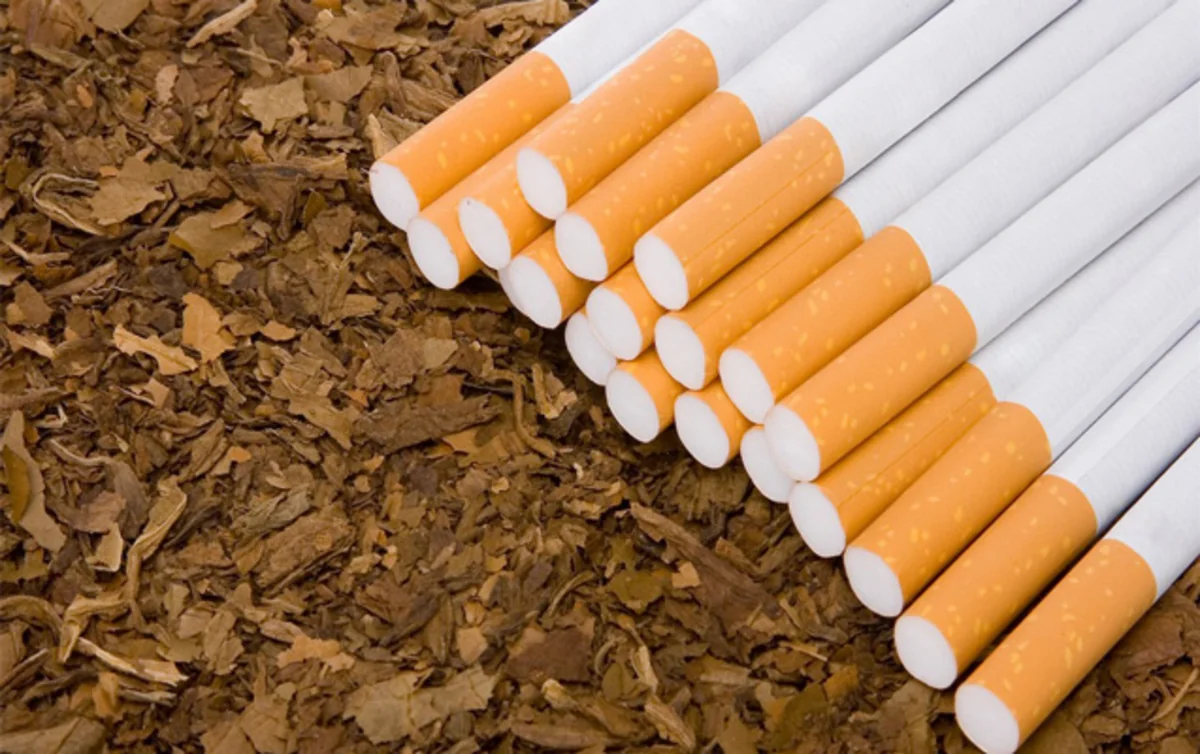 Bu il Azərbaycanın tütün ixracı 13% artıb
