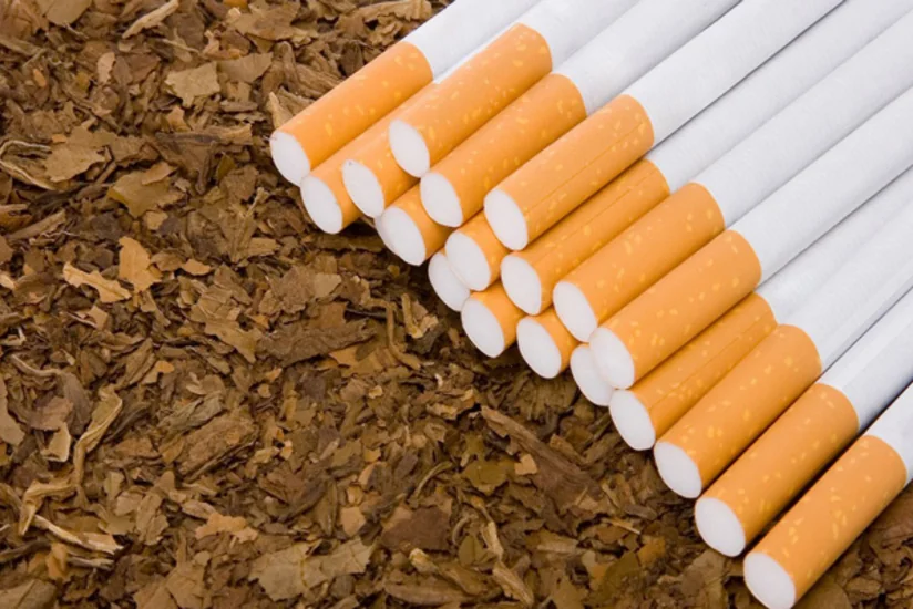 Bu il Azərbaycanın tütün ixracı 13% artıb