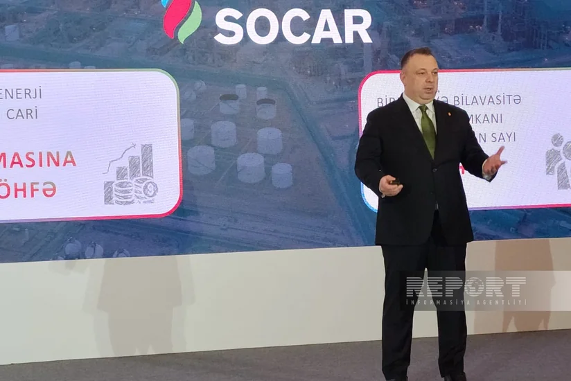Инвестиции SOCAR Turkiye Enerji в газовый бизнес в Турции составили $209 млн