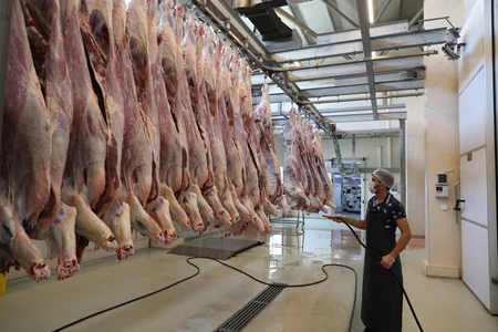 Heydər Əliyev Fondu Qurban bayramı münasibəti ilə aztəminatlı ailələrə qurban payları verib