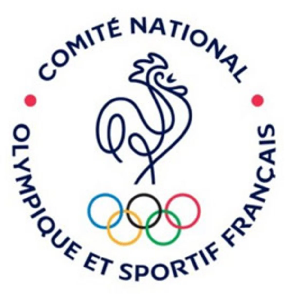 Paris 2024-cü il olimpiadasına namizədliyini irəli sürəcək