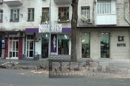 Mingəçevirdə külək ağacı avtomobilin üzərinə aşırıb