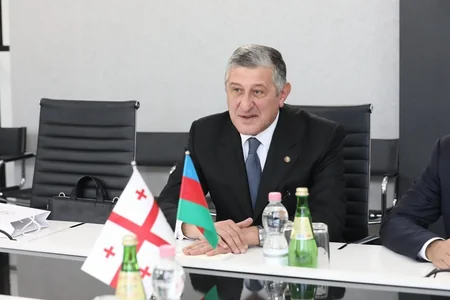 Azərbaycan və Gürcüstan arasında humanitar sahələrdə əməkdaşlıq məsələləri müzakirə olunub