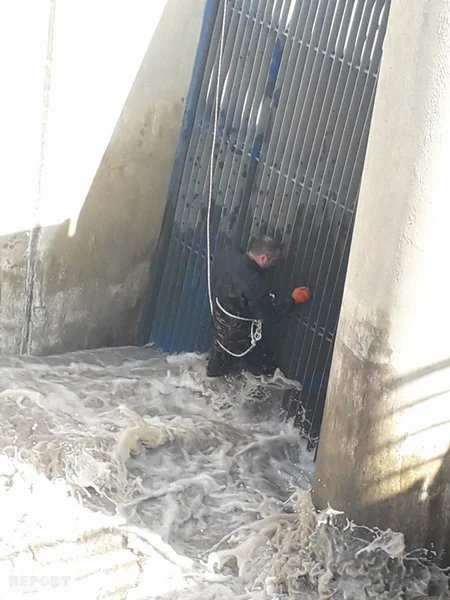 Двое мужчин утонули, пытаясь спасти тонущего теленка в Губе - ФОТО