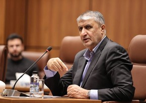 В Иране не исключают, что могут допустить американских инспекторов на ядерные объекты