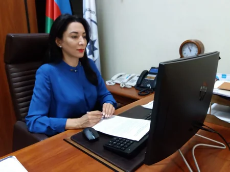 Ombudsman vətəndaş cəmiyyəti institutlarının nümayəndələri ilə görüşüb