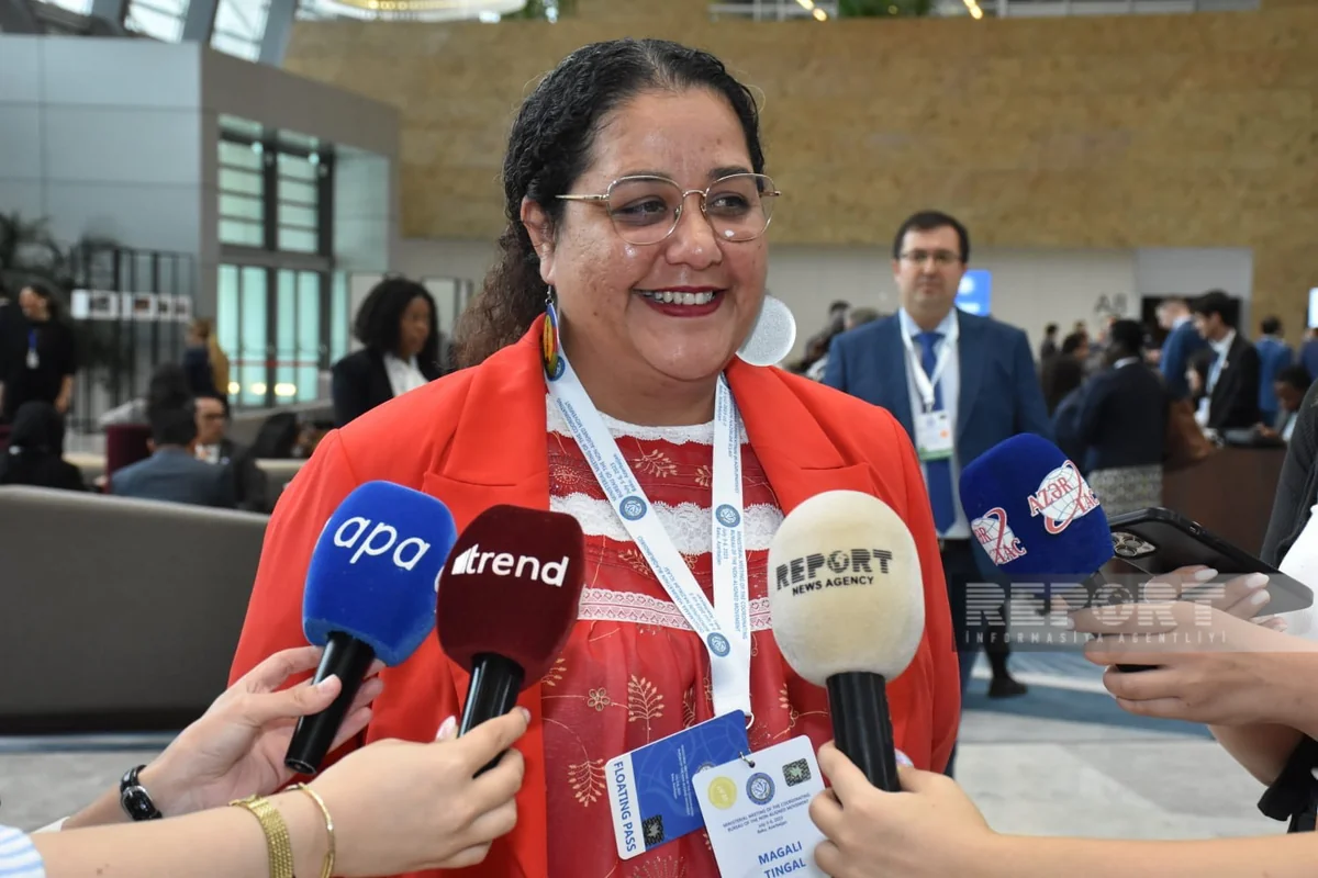 Maqali Tinqal: “Prezident İlham Əliyevin Fransanın müstəmləkəçilik siyasəti ilə bağlı dedikləri həqiqətdir”