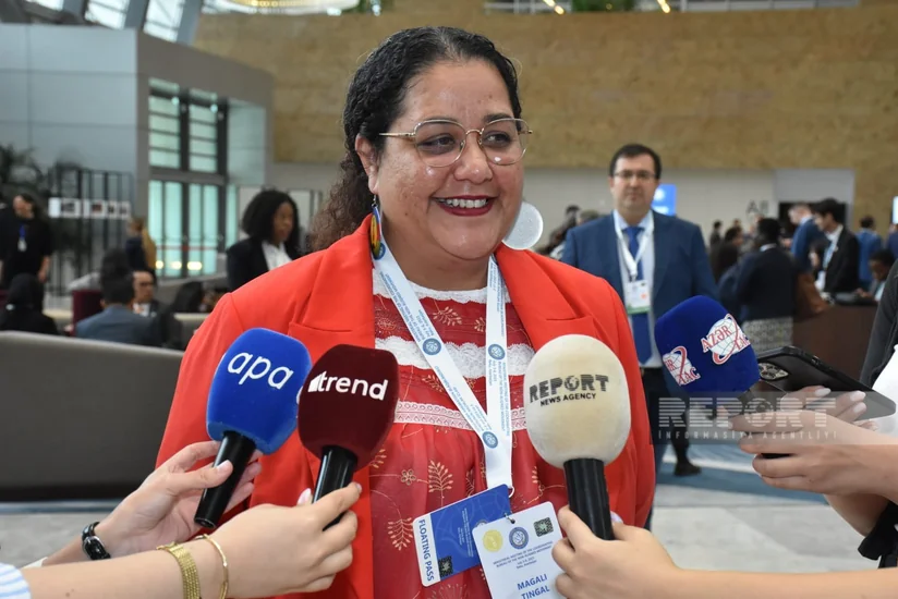 Maqali Tinqal: “Prezident İlham Əliyevin Fransanın müstəmləkəçilik siyasəti ilə bağlı dedikləri həqiqətdir”