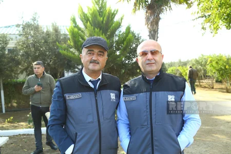 Azad edilmiş ərazilərdə Şərq çinarı, Eldar şamı, sərv, dağdağan və akasiya ağaclarının əkilməsi nəzərdə tutulur