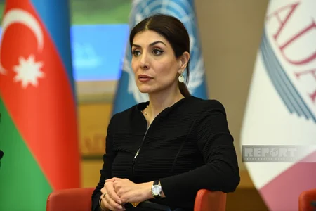 UN Office to invite climate experts to Azerbaijan within COP29