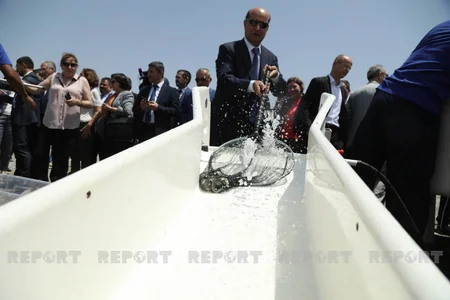 Diplomats, international experts release trouts into Hakari River