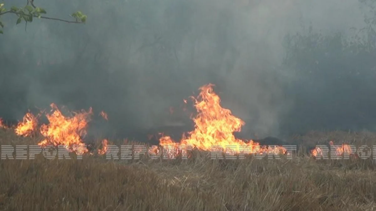 Şabranda yanğın baş verən ərazidə elektrik verilişi dayandırılıb
