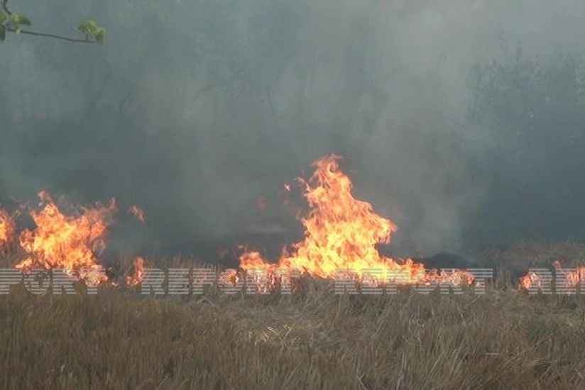Şabranda yanğın baş verən ərazidə elektrik verilişi dayandırılıb
