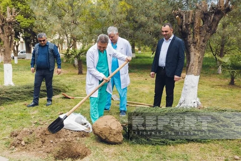 Gəncədə Heydər Əliyevin 100 illiyinə həsr olunan ağacəkmə aksiyası keçirilib