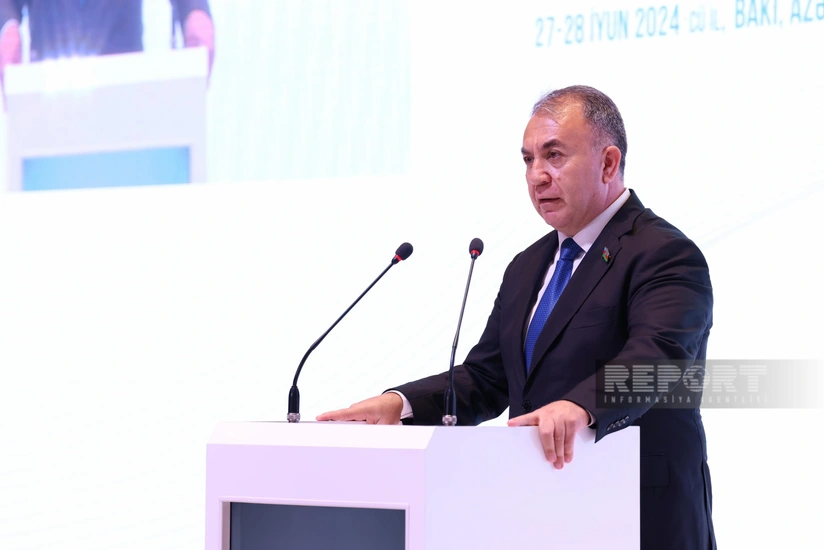 Azerbaijani MP: Environmental pollution kills millions of people every year