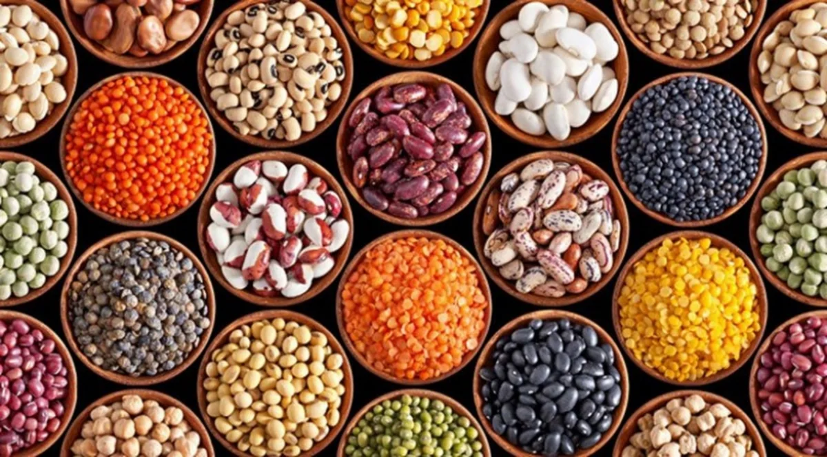 Azərbaycana Cənub-Şərqi Anadoludan idxal edilən dənli və paxlalı bitkilərin dəyəri açıqlanıb