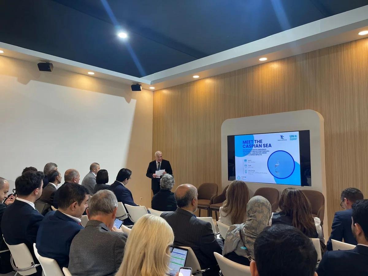 Protection of coastal areas and biodiversity of Caspian Sea discussed at COP29