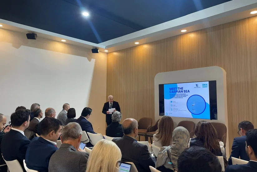 COP29-da Xəzərin sahilyanı ərazilərinin dayanıqlığı və biomüxtəlifliyin qorunması müzakirə olunub