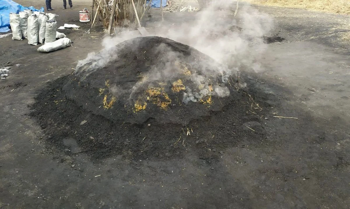 В Исмаиллинском районе пресекли незаконное производство угля