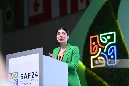 Beynəlxalq Yaşıl STEAM Azərbaycan Festivalının açılışı olub