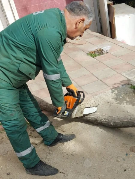 Güclü külək Bakıda 20 ağacı sındırıb