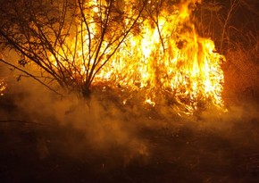 Fire in Aghsu and Shamakhi extinguished - UPDATED 