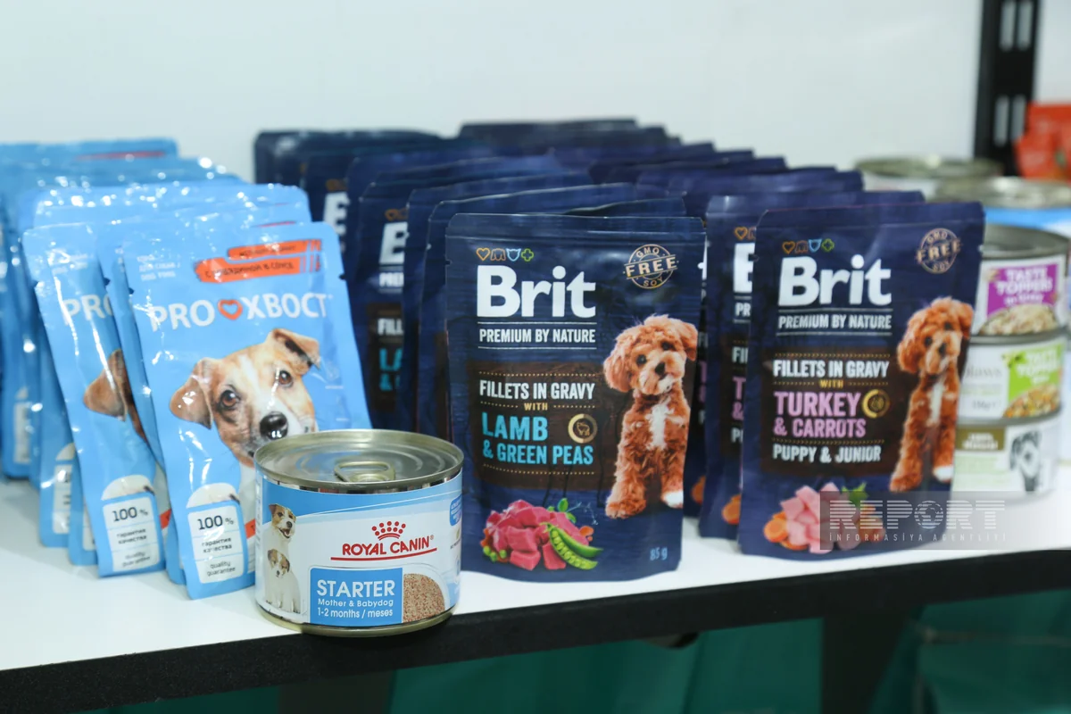 Zoomarketlərdə “qida tələsi” – ev heyvanlarının sağlamlığına kim cavabdehdir? - ARAŞDIRMA