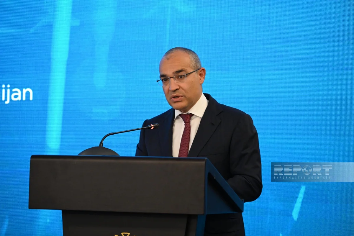 Mikayil Jabbarov: Carbon assessment to include state support for business dev't