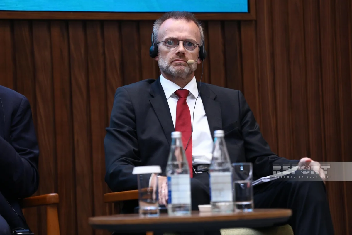 Norway's special representative notes great need for renewable energy sources on global scale