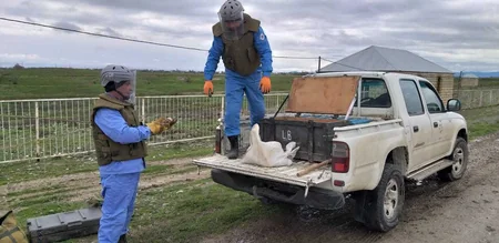 Ağdamda iki ədəd qumbara aşkarlanıb