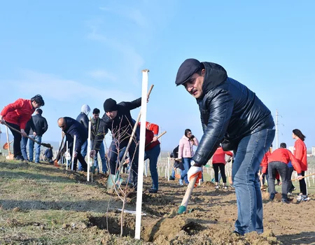 Təhsil Nazirliyi ağacəkmə aksiyası keçirib