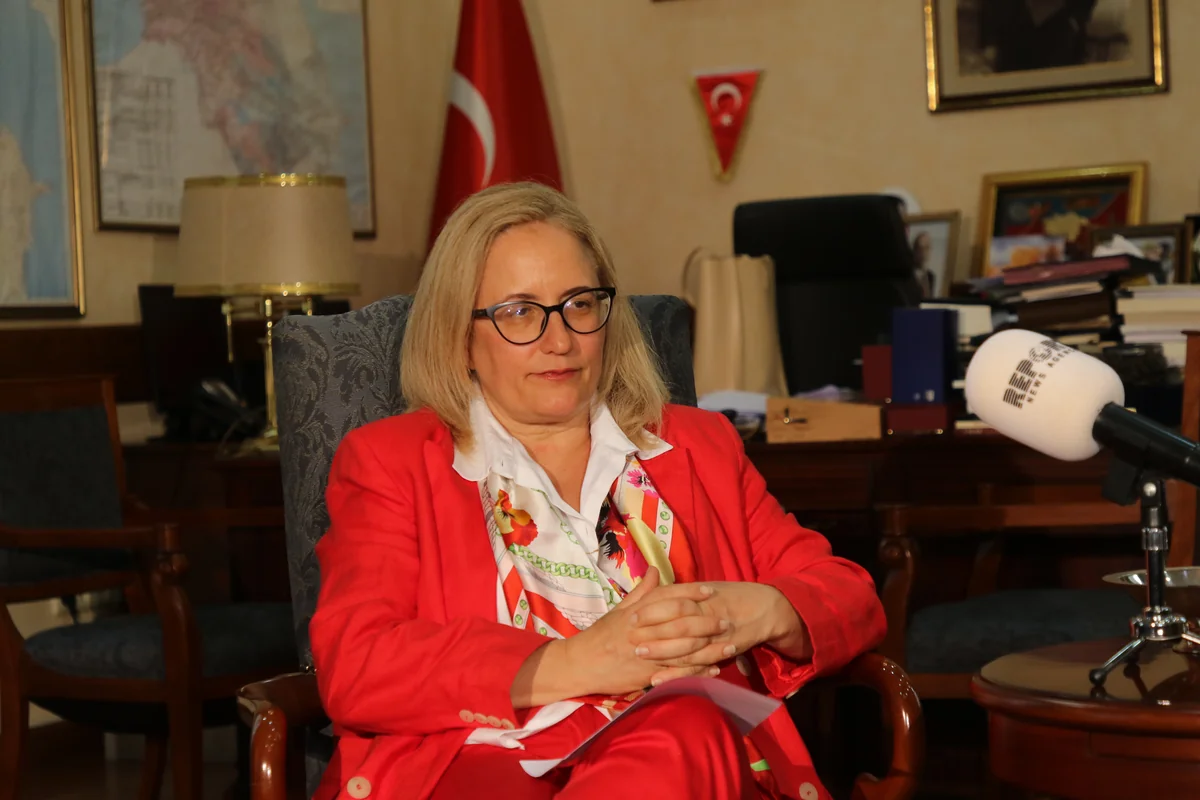 Turkish Ambassador: We want Georgia to join TEKNOFEST