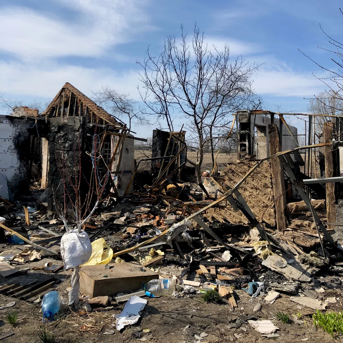 UN: 3381 killed in Ukraine since war