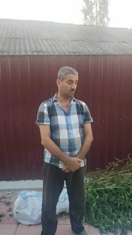 Şəki sakini həyətyanı sahəsini narkotik plantasiyasına çevirib