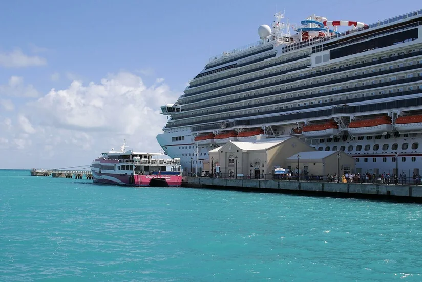 Сингапурский круизный лайнер в никуда вернулся назад из-за коронавируса