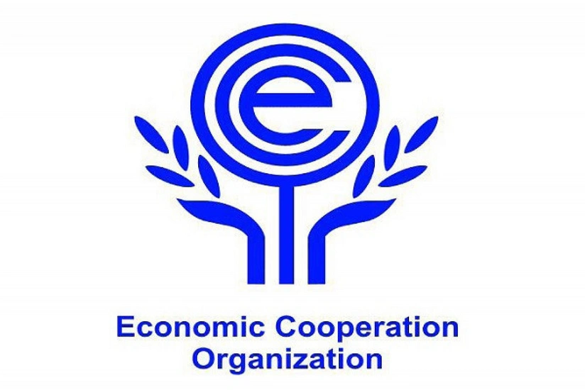 Acceleration of ECO Electricity Market Project discussed