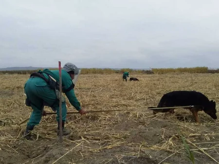 ANAMA: Ötən ay 109 ədəd partlamamış hərbi sursat zərərsizləşdirilib - FOTO