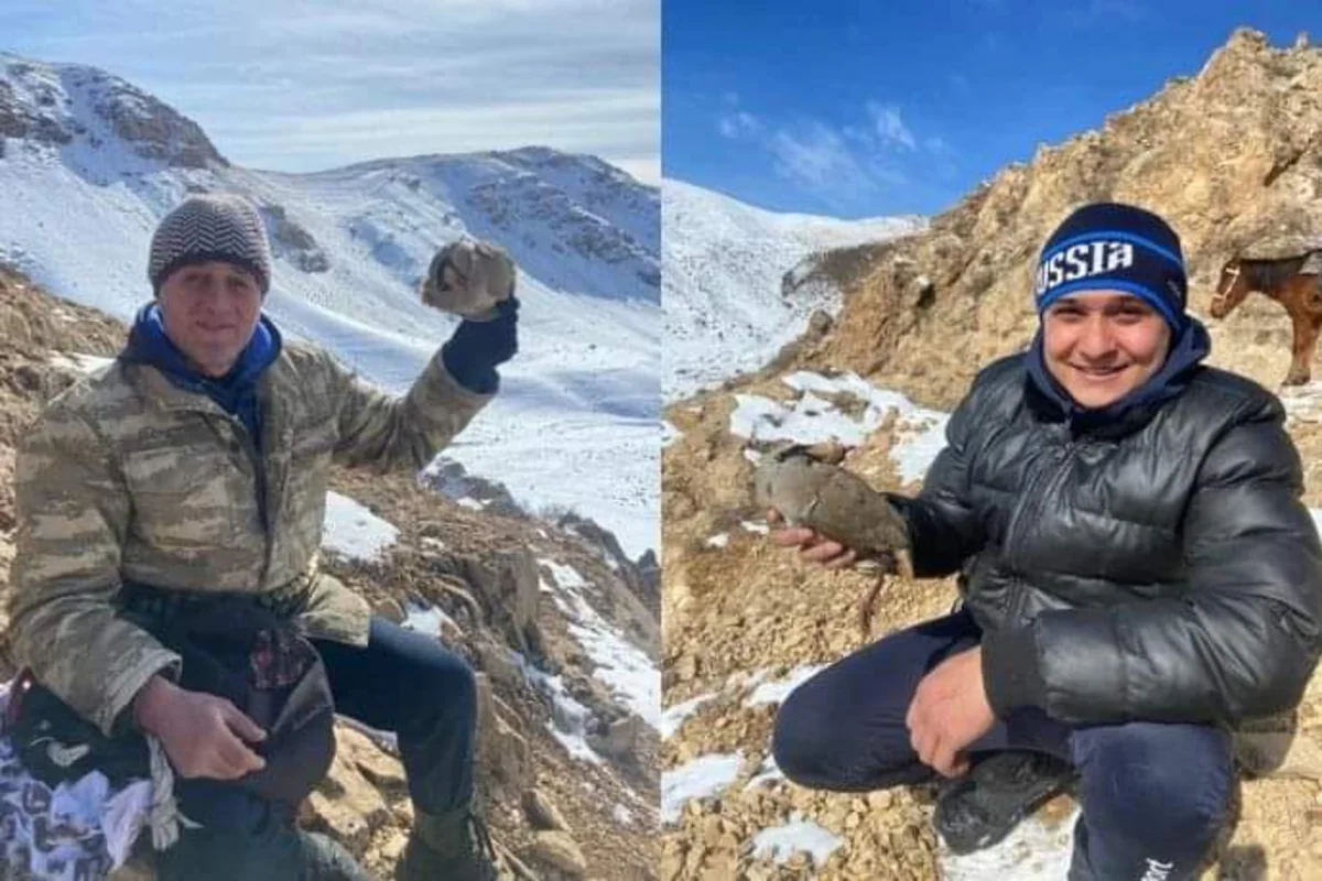Naxçıvanda qanunsuz ov edən şəxslər saxlanılıb