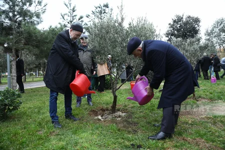 International conference participants in Baku plant trees in Zira Ecopark