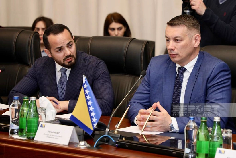 Министр: Босния и Герцеговина будет сотрудничать с Азербайджаном в борьбе со стихийными бедствиями