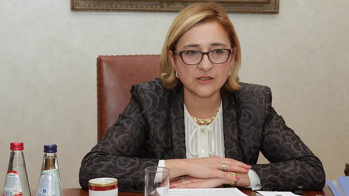 FM: Georgia Moving Closer to NATO Membership