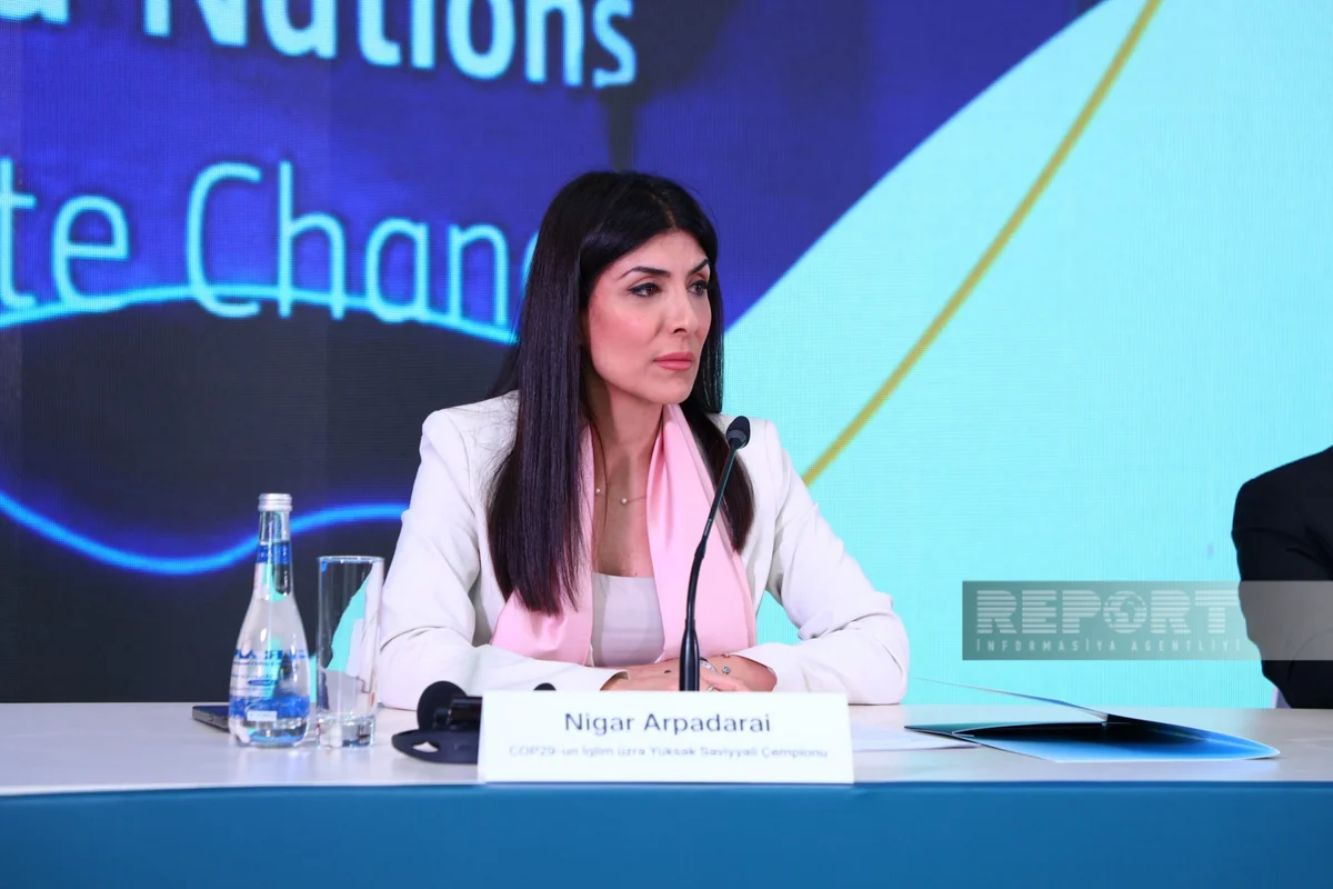 Nigar Arpadarai: COP29-a ciddi hazırlıq görülür