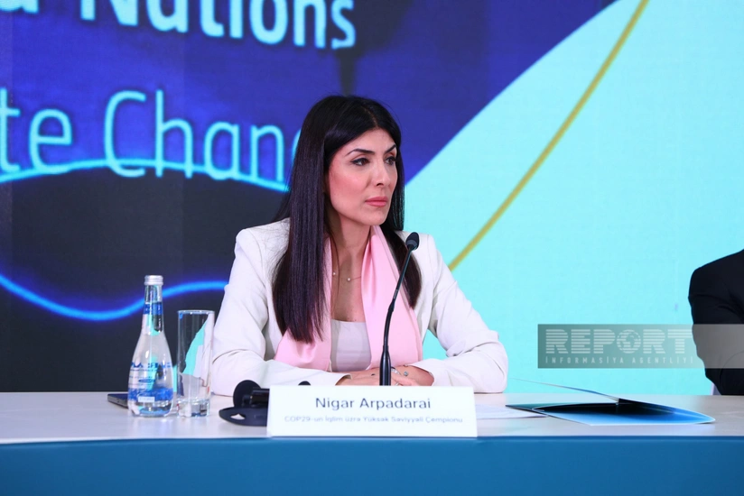 Nigar Arpadarai: COP29-a ciddi hazırlıq görülür