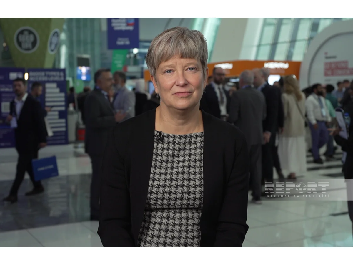 Samantha Gross: New goals should be set for climate change finance at COP29