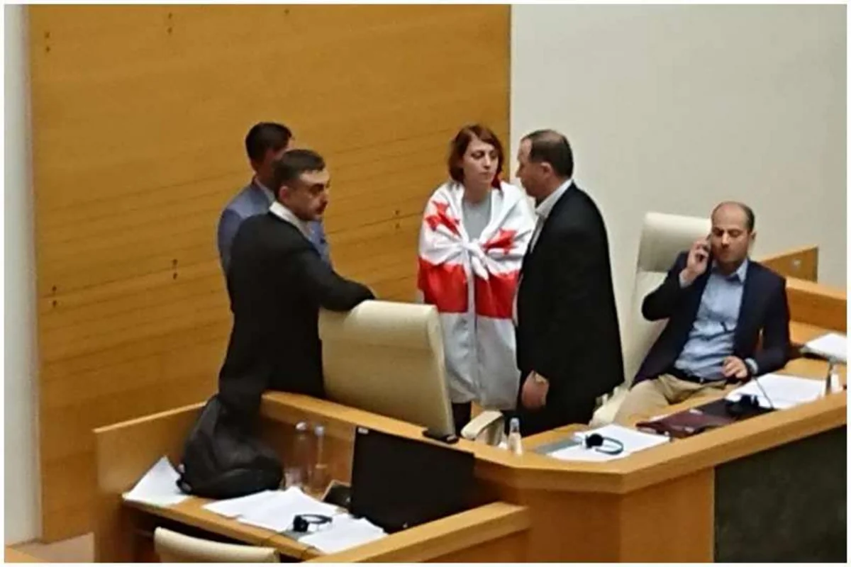 В парламенте Грузии международное мероприятие прервалось из-за спора