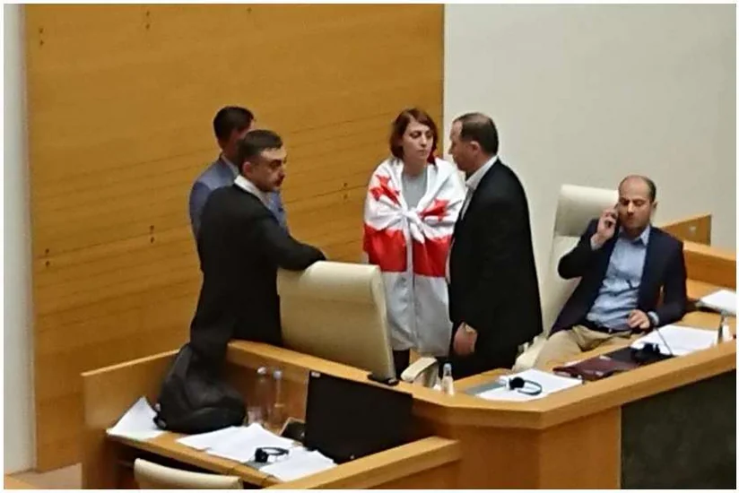 В парламенте Грузии международное мероприятие прервалось из-за спора
